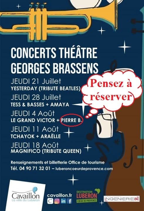 Pierre B. en première partie de concert — photo 5